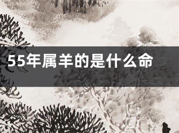55年属羊的是什么命