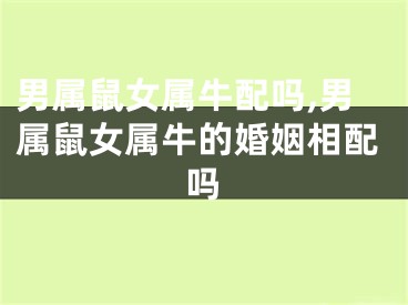 男属鼠女属牛配吗,男属鼠女属牛的婚姻相配吗