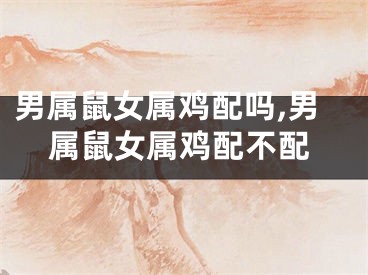 男属鼠女属鸡配吗,男属鼠女属鸡配不配
