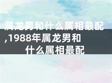 属龙男和什么属相最配,1988年属龙男和什么属相最配
