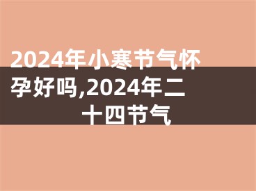 2024年小寒节气怀孕好吗,2024年二十四节气