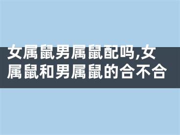 女属鼠男属鼠配吗,女属鼠和男属鼠的合不合