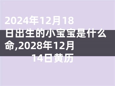 2024年12月18日出生的小宝宝是什么命,2028年12月14日黄历