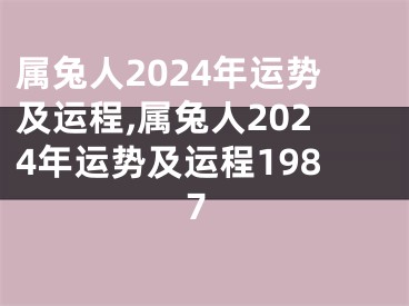 属兔人2024年运势及运程,属兔人2024年运势及运程1987