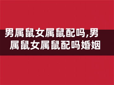 男属鼠女属鼠配吗,男属鼠女属鼠配吗婚姻