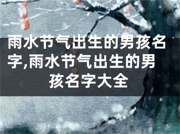 雨水节气出生的男孩名字,雨水节气出生的男孩名字大全