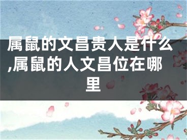 属鼠的文昌贵人是什么,属鼠的人文昌位在哪里