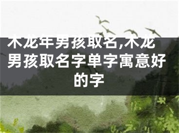 木龙年男孩取名,木龙男孩取名字单字寓意好的字