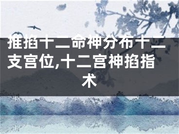 推掐十二命神分布十二支宫位,十二宫神掐指术