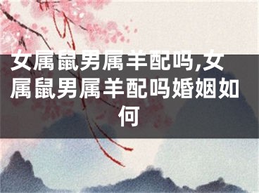 女属鼠男属羊配吗,女属鼠男属羊配吗婚姻如何