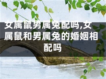 女属鼠男属兔配吗,女属鼠和男属兔的婚姻相配吗