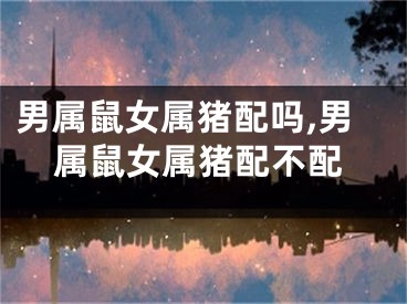 男属鼠女属猪配吗,男属鼠女属猪配不配