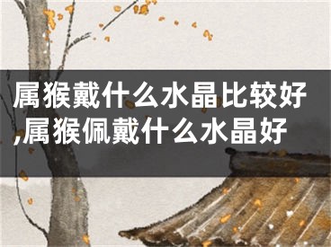 属猴戴什么水晶比较好,属猴佩戴什么水晶好