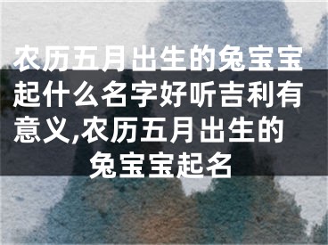 农历五月出生的兔宝宝起什么名字好听吉利有意义,农历五月出生的兔宝宝起名