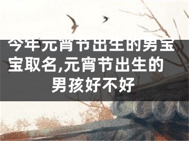 今年元宵节出生的男宝宝取名,元宵节出生的男孩好不好