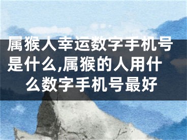 属猴人幸运数字手机号是什么,属猴的人用什么数字手机号最好