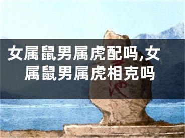 女属鼠男属虎配吗,女属鼠男属虎相克吗