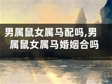 男属鼠女属马配吗,男属鼠女属马婚姻合吗