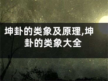 坤卦的类象及原理,坤卦的类象大全