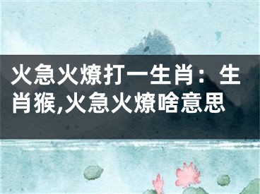 火急火燎打一生肖：生肖猴,火急火燎啥意思