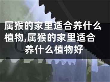 属猴的家里适合养什么植物,属猴的家里适合养什么植物好