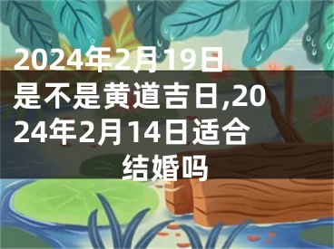 2024年2月19日是不是黄道吉日,2024年2月14日适合结婚吗
