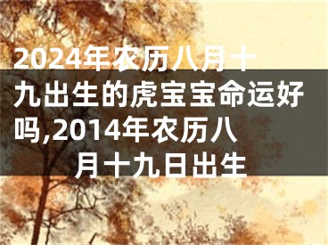 2024年农历八月十九出生的虎宝宝命运好吗,2014年农历八月十九日出生