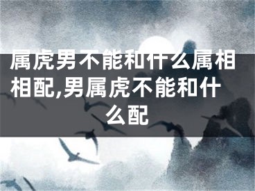 属虎男不能和什么属相相配,男属虎不能和什么配