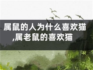 属鼠的人为什么喜欢猫,属老鼠的喜欢猫