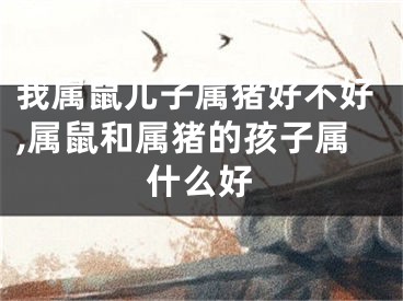 我属鼠儿子属猪好不好,属鼠和属猪的孩子属什么好
