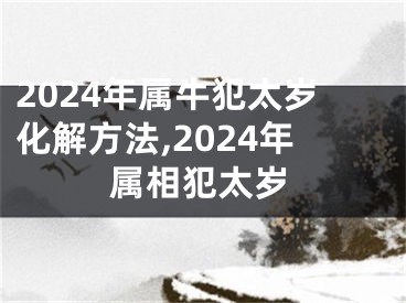 2024年属牛犯太岁化解方法,2024年属相犯太岁