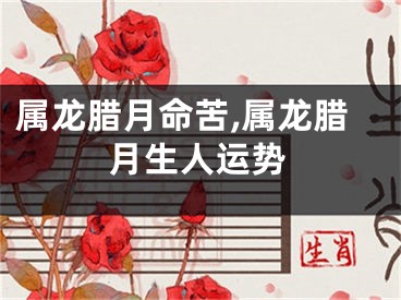 属龙腊月命苦,属龙腊月生人运势