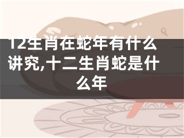 12生肖在蛇年有什么讲究,十二生肖蛇是什么年