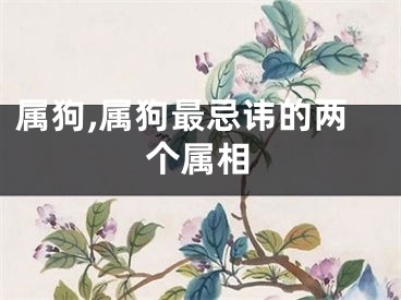 属狗,属狗最忌讳的两个属相