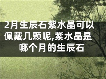 2月生辰石紫水晶可以佩戴几颗呢,紫水晶是哪个月的生辰石