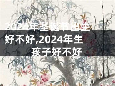 2024年圣诞节出生好不好,2024年生孩子好不好
