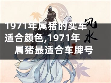 1971年属猪的买车适合颜色,1971年属猪最适合车牌号