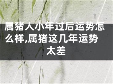 属猪人小年过后运势怎么样,属猪这几年运势太差