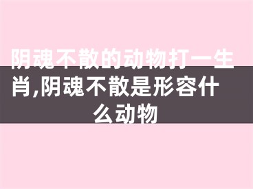 阴魂不散的动物打一生肖,阴魂不散是形容什么动物