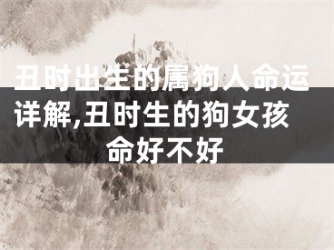 丑时出生的属狗人命运详解,丑时生的狗女孩命好不好