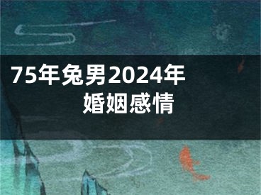 75年兔男2024年婚姻感情