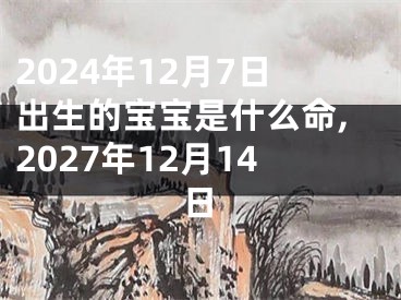 2024年12月7日出生的宝宝是什么命,2027年12月14日