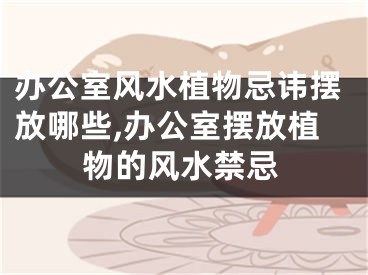 办公室风水植物忌讳摆放哪些,办公室摆放植物的风水禁忌