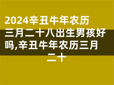 2024辛丑牛年农历三月二十八出生男孩好吗,辛丑牛年农历三月二十