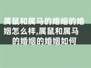 属鼠和属马的婚姻的婚姻怎么样,属鼠和属马的婚姻的婚姻如何