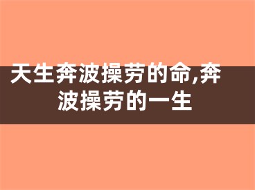 天生奔波操劳的命,奔波操劳的一生