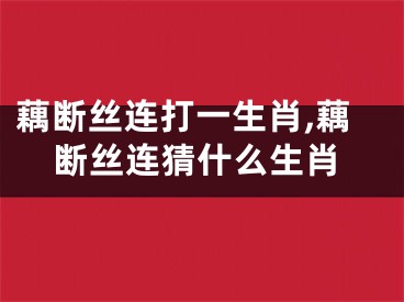 藕断丝连打一生肖,藕断丝连猜什么生肖