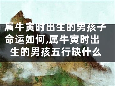 属牛寅时出生的男孩子命运如何,属牛寅时出生的男孩五行缺什么