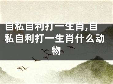 自私自利打一生肖,自私自利打一生肖什么动物