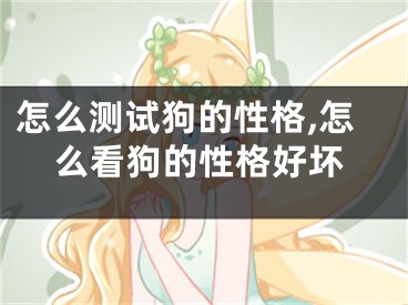 怎么测试狗的性格,怎么看狗的性格好坏